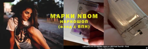 стаф Богородск